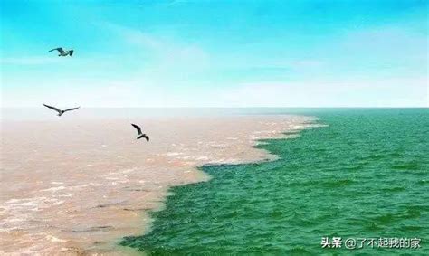 廣州位於哪條河流的入海口|广州位於哪个河流的入海口？